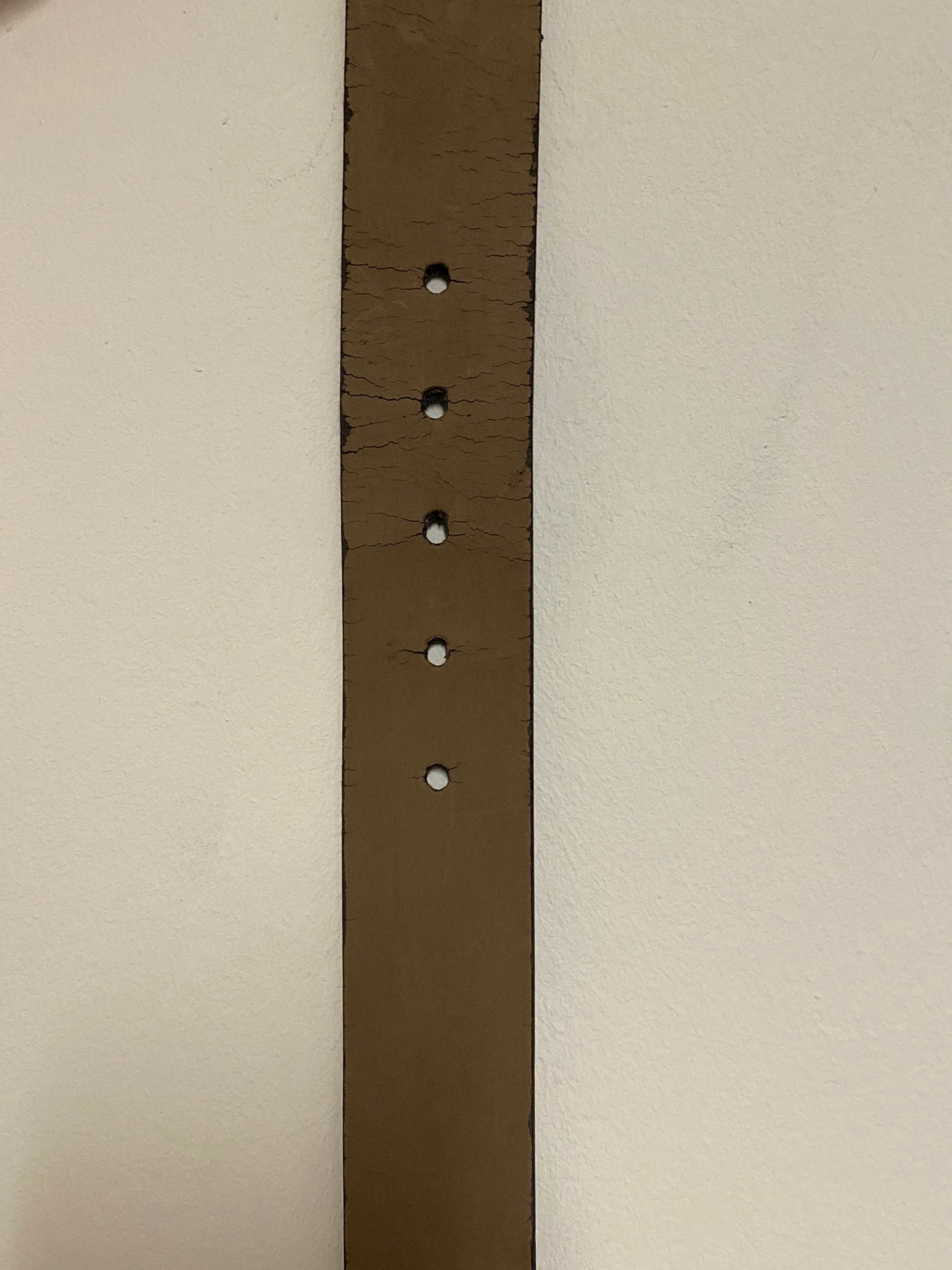 Ledergürtel mit Silberner Schnalle